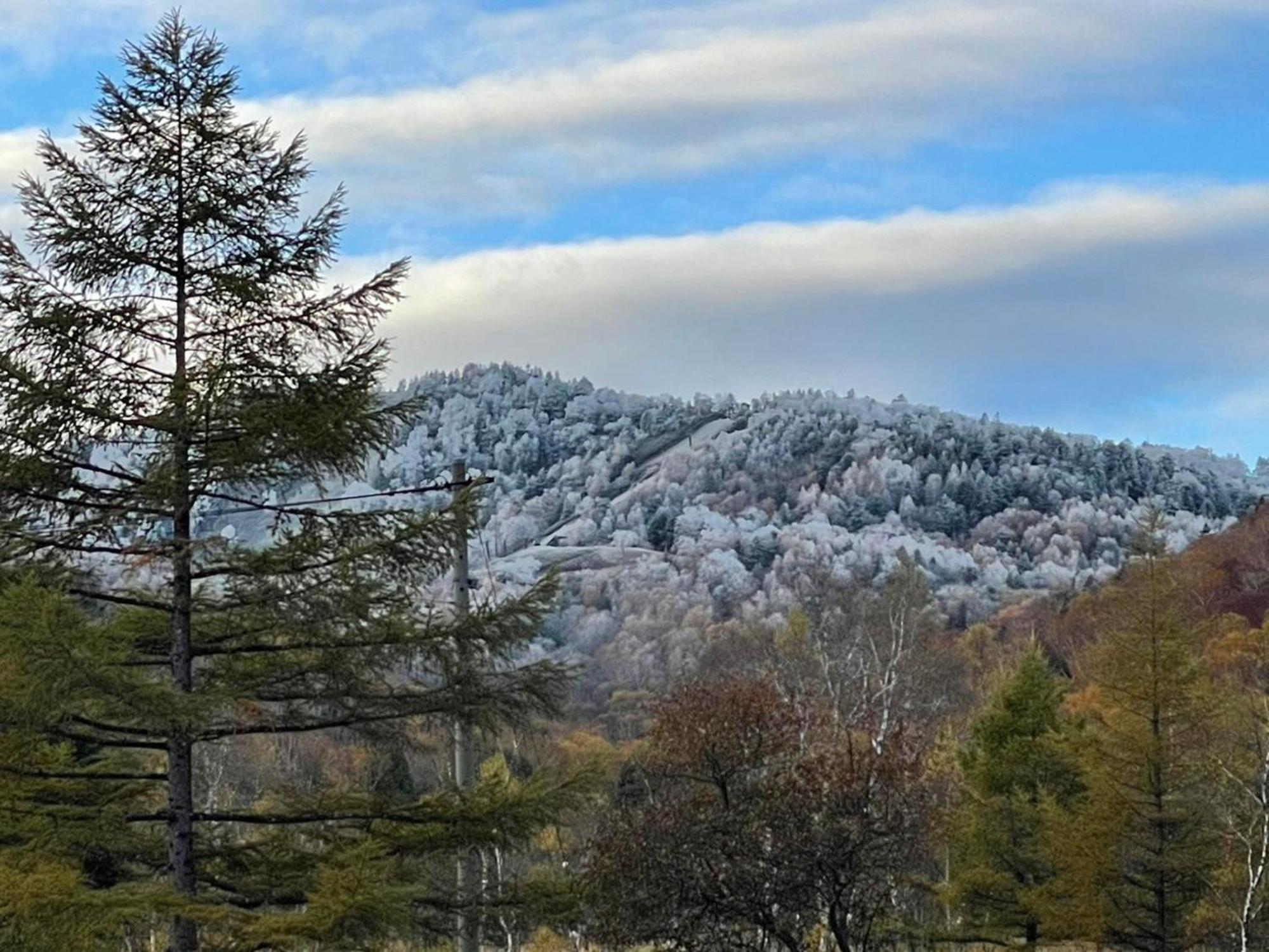 Sachinoyu Hotel Shiga Kogen Jamanoucsi Kültér fotó